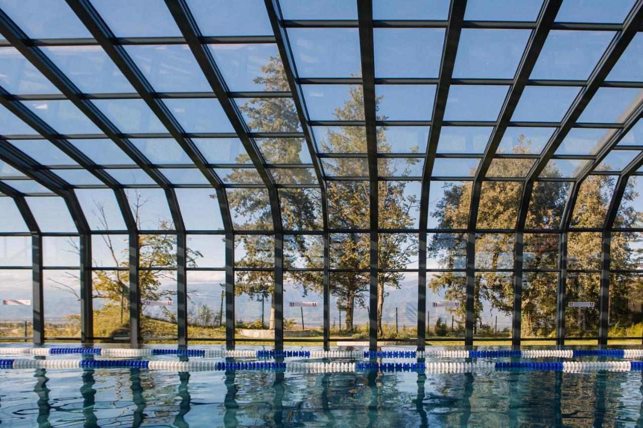 Tsinandali Estate, A Radisson Collection Hotel ภายนอก รูปภาพ Swimming pool with a retractable roof