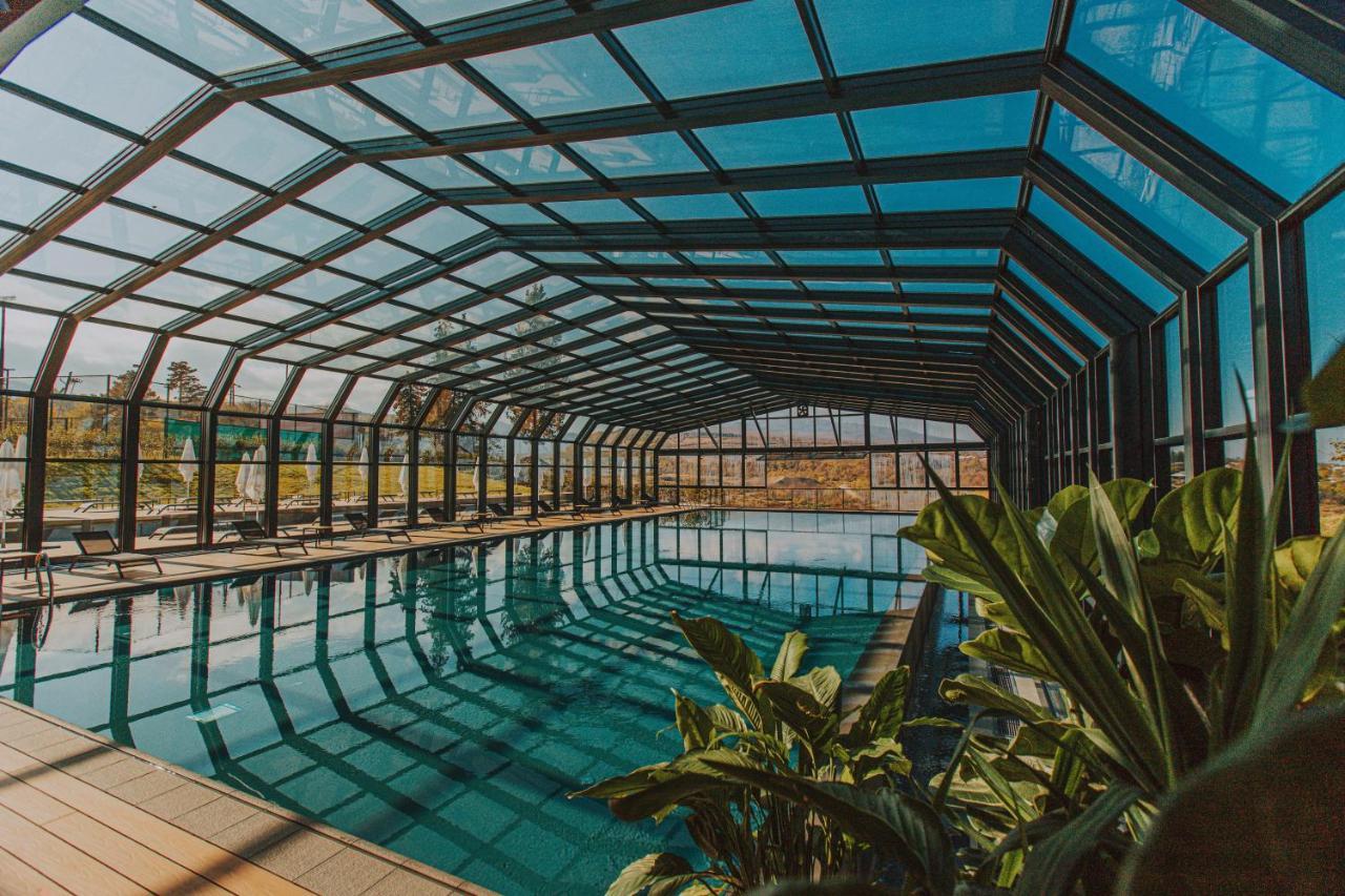 Tsinandali Estate, A Radisson Collection Hotel ภายนอก รูปภาพ Swimming pool at the hotel